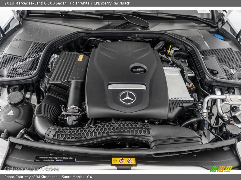 Polar White / Cranberry Red/Black 2018 Mercedes-Benz C 300 Sedan