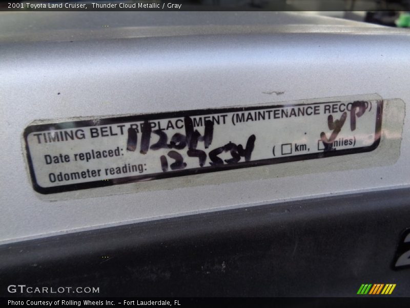 Thunder Cloud Metallic / Gray 2001 Toyota Land Cruiser
