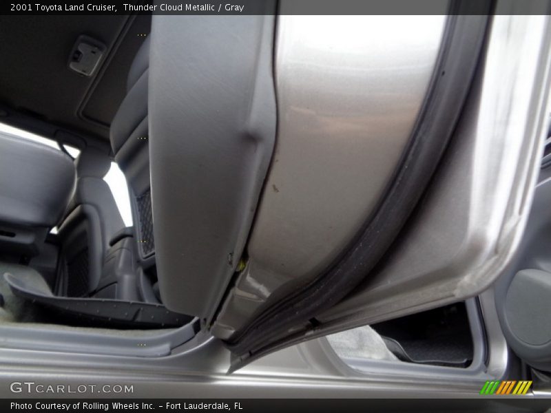 Thunder Cloud Metallic / Gray 2001 Toyota Land Cruiser