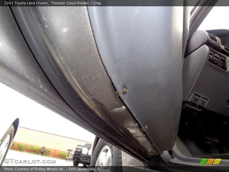 Thunder Cloud Metallic / Gray 2001 Toyota Land Cruiser