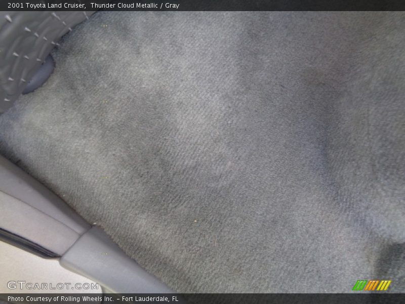Thunder Cloud Metallic / Gray 2001 Toyota Land Cruiser