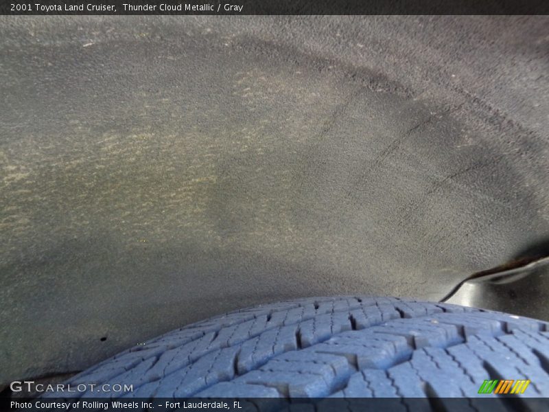 Thunder Cloud Metallic / Gray 2001 Toyota Land Cruiser