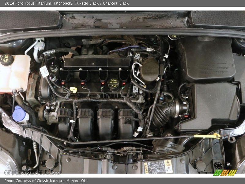 Tuxedo Black / Charcoal Black 2014 Ford Focus Titanium Hatchback