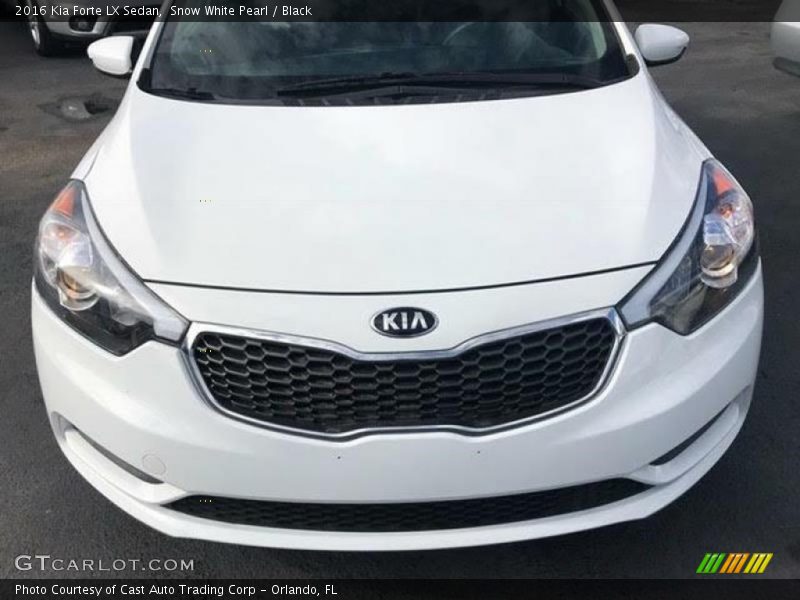 Snow White Pearl / Black 2016 Kia Forte LX Sedan