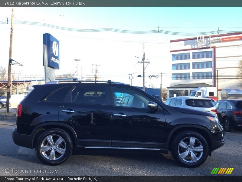 Ebony Black / Black 2012 Kia Sorento EX V6