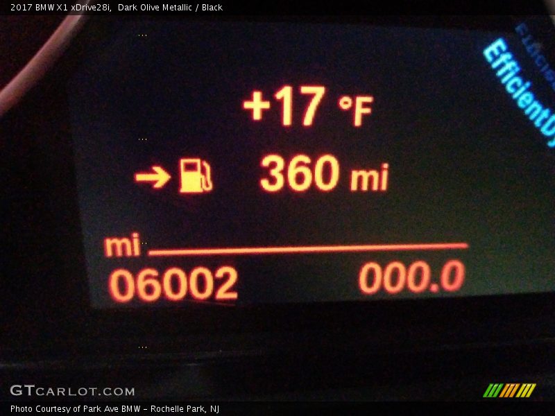 Dark Olive Metallic / Black 2017 BMW X1 xDrive28i