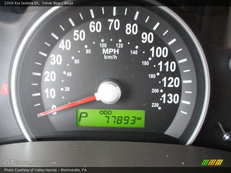 Velvet Blue / Beige 2009 Kia Sedona EX