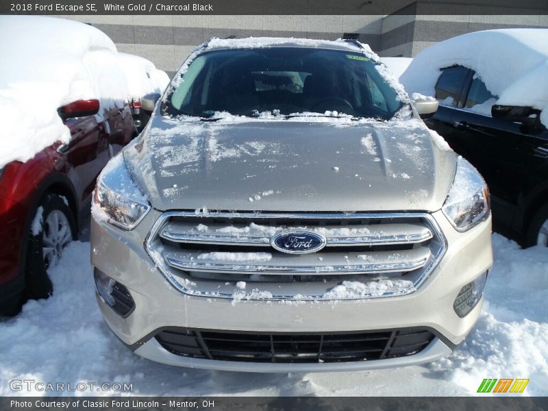 White Gold / Charcoal Black 2018 Ford Escape SE