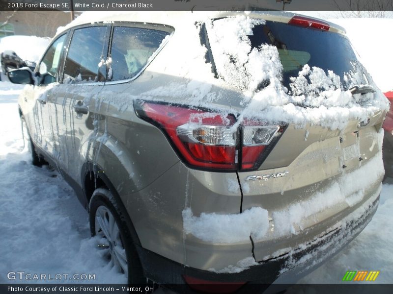 White Gold / Charcoal Black 2018 Ford Escape SE