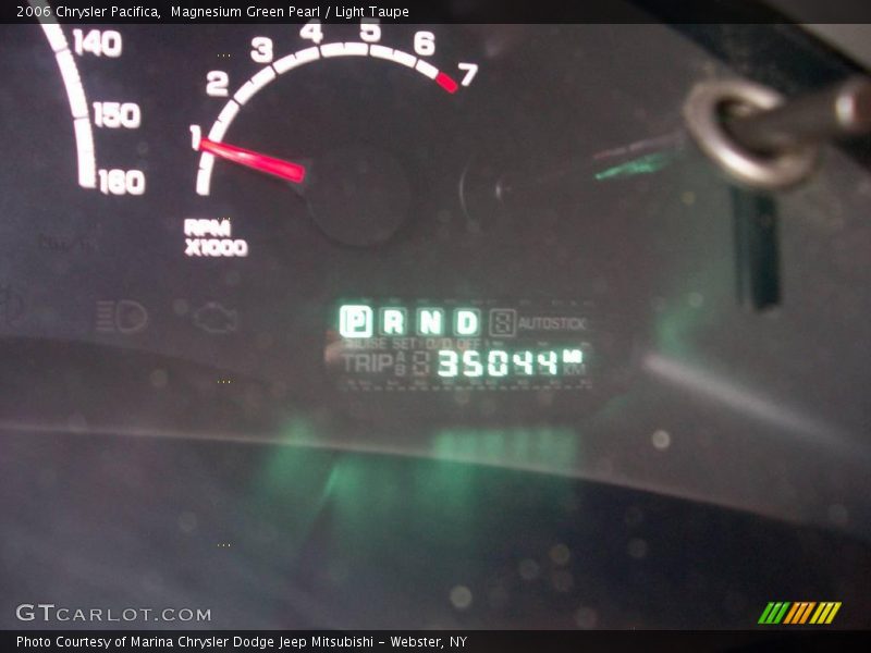 Magnesium Green Pearl / Light Taupe 2006 Chrysler Pacifica