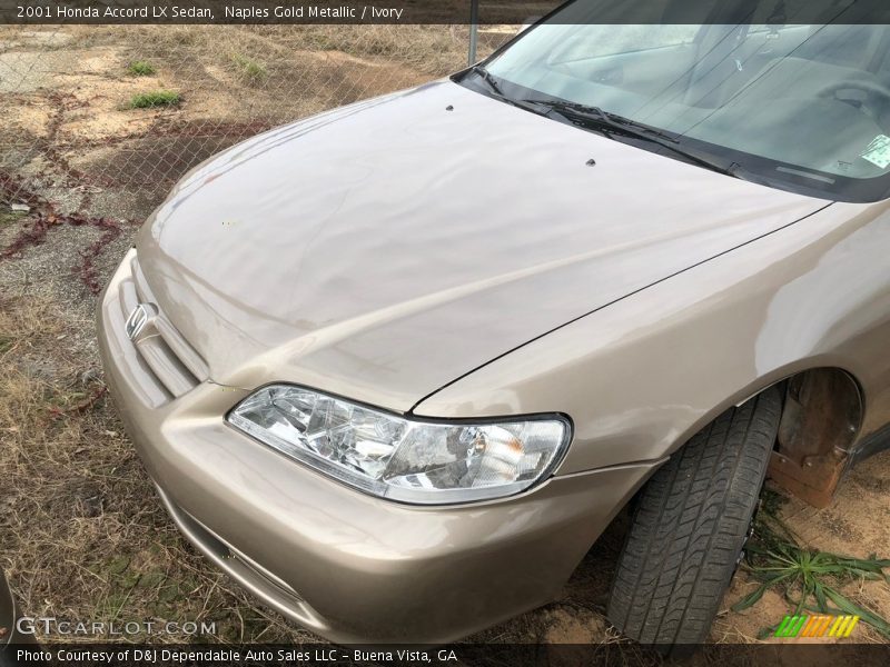 Naples Gold Metallic / Ivory 2001 Honda Accord LX Sedan