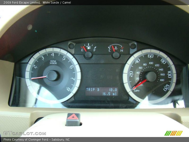 White Suede / Camel 2009 Ford Escape Limited