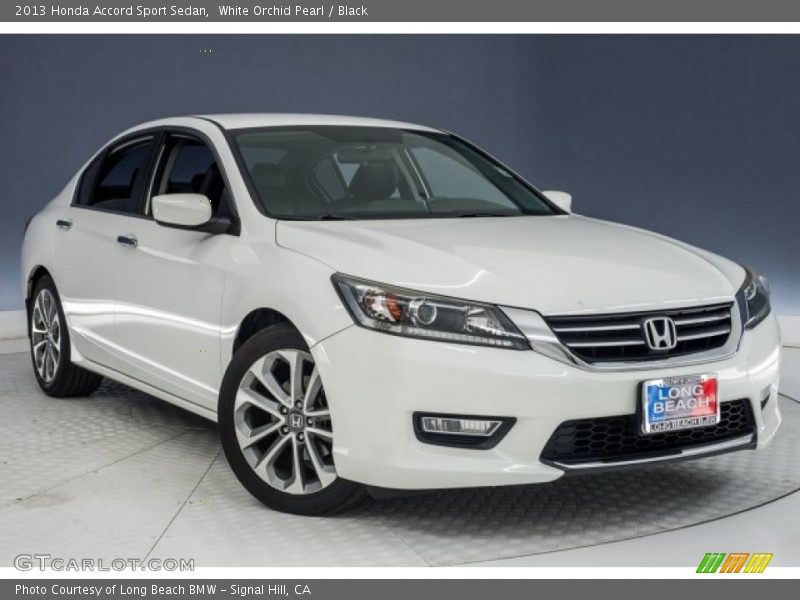 White Orchid Pearl / Black 2013 Honda Accord Sport Sedan