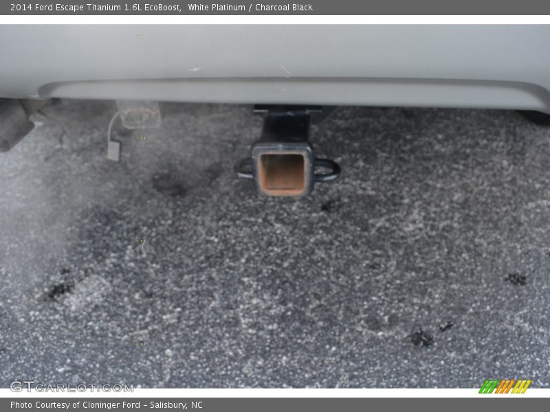 White Platinum / Charcoal Black 2014 Ford Escape Titanium 1.6L EcoBoost