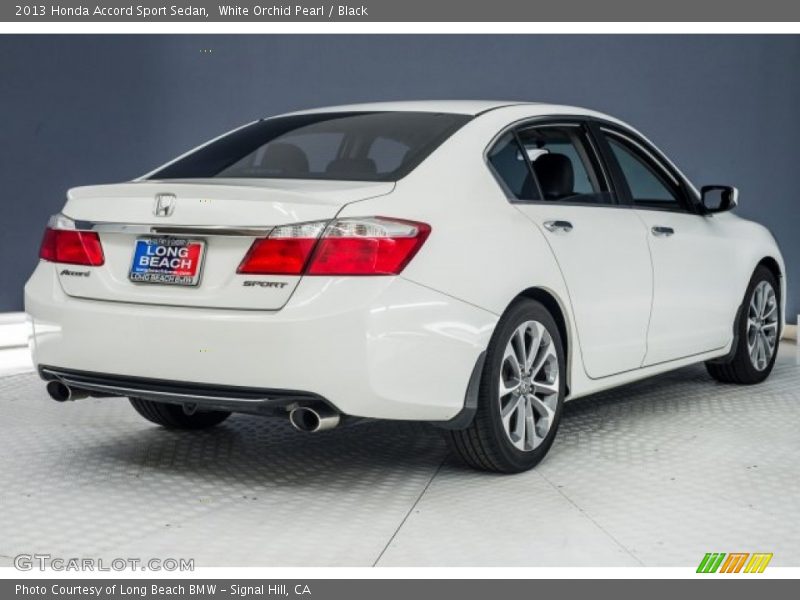 White Orchid Pearl / Black 2013 Honda Accord Sport Sedan