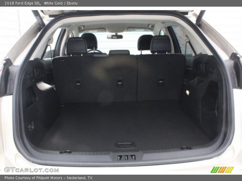 White Gold / Ebony 2018 Ford Edge SEL