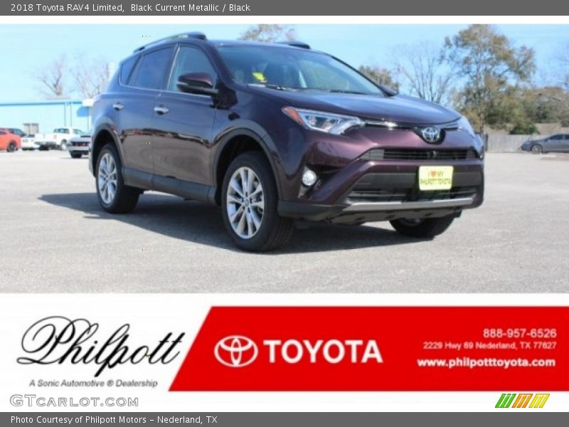 Black Current Metallic / Black 2018 Toyota RAV4 Limited