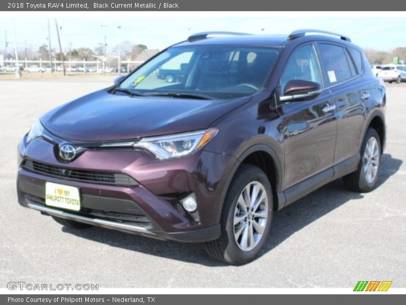Black Current Metallic / Black 2018 Toyota RAV4 Limited