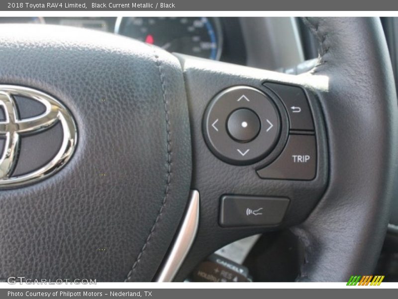 Black Current Metallic / Black 2018 Toyota RAV4 Limited