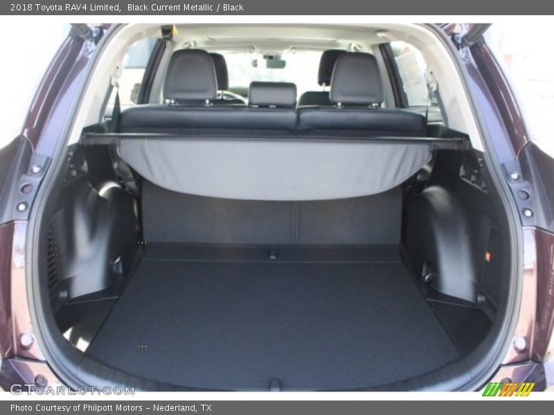 Black Current Metallic / Black 2018 Toyota RAV4 Limited
