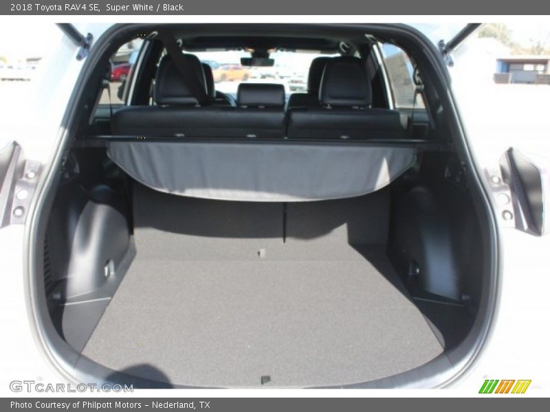 Super White / Black 2018 Toyota RAV4 SE