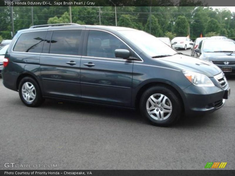 Sage Brush Pearl / Gray 2005 Honda Odyssey EX-L