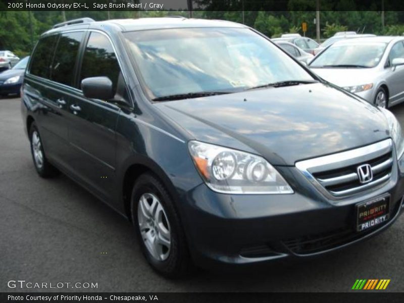 Sage Brush Pearl / Gray 2005 Honda Odyssey EX-L