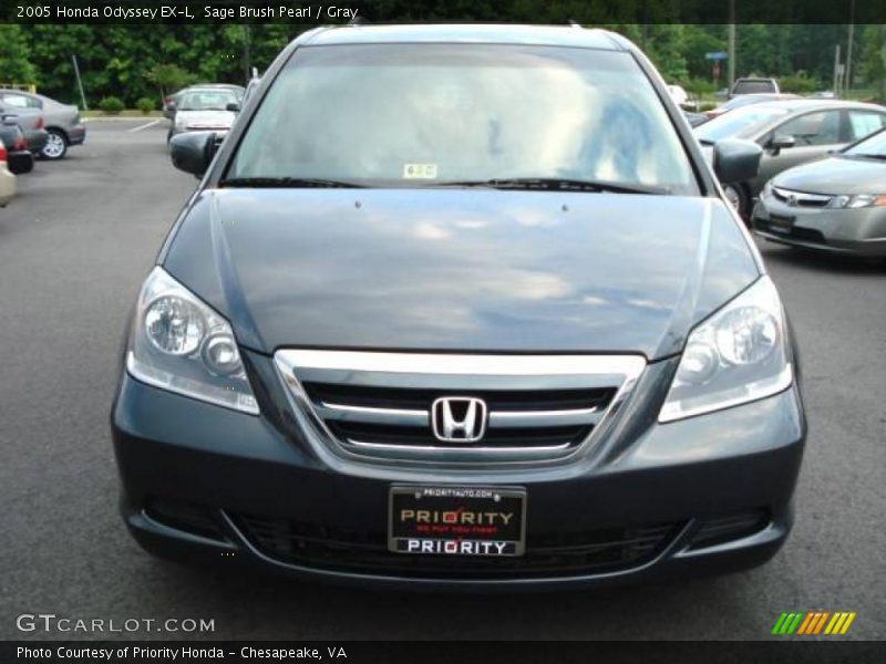 Sage Brush Pearl / Gray 2005 Honda Odyssey EX-L