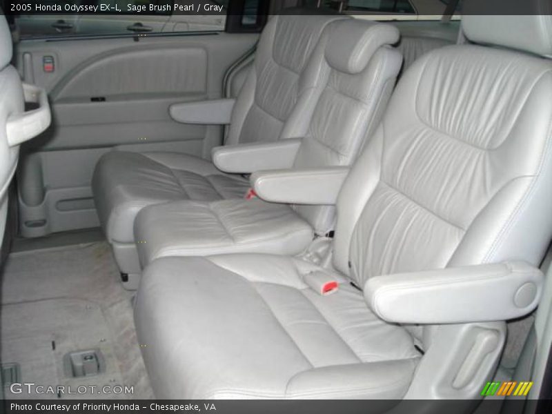 Sage Brush Pearl / Gray 2005 Honda Odyssey EX-L