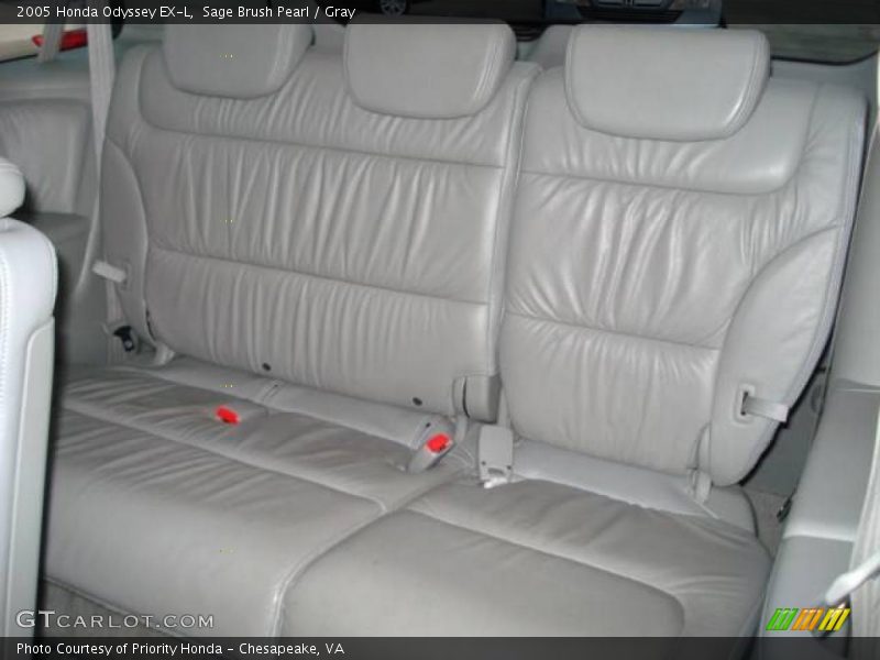 Sage Brush Pearl / Gray 2005 Honda Odyssey EX-L