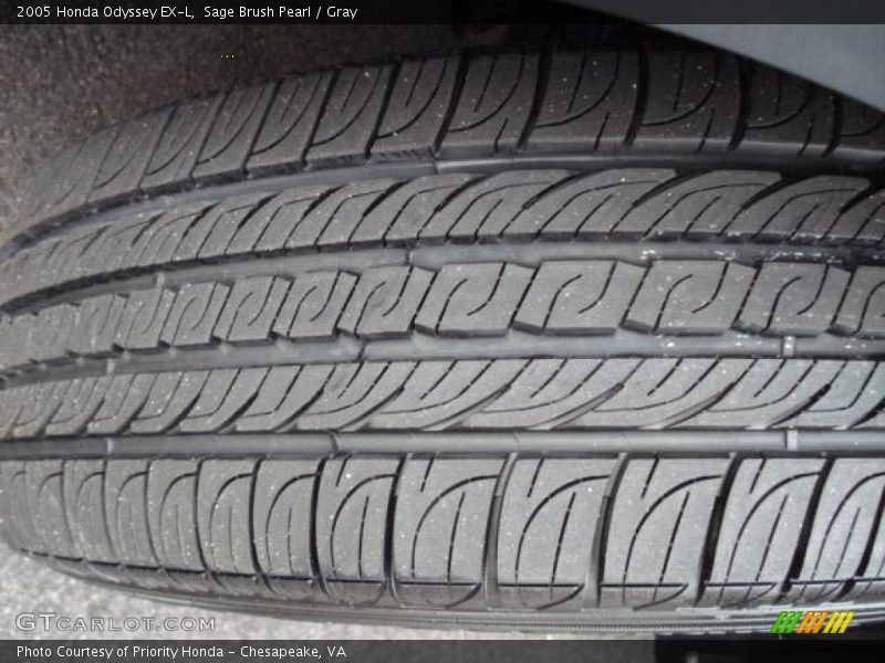 Sage Brush Pearl / Gray 2005 Honda Odyssey EX-L
