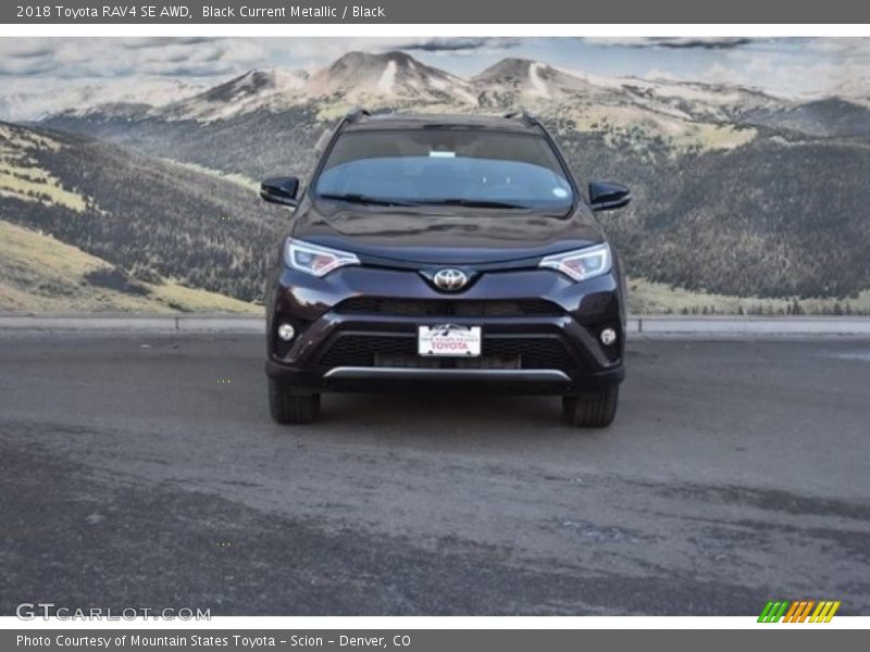 Black Current Metallic / Black 2018 Toyota RAV4 SE AWD