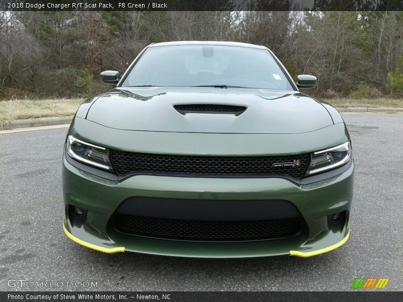 F8 Green / Black 2018 Dodge Charger R/T Scat Pack