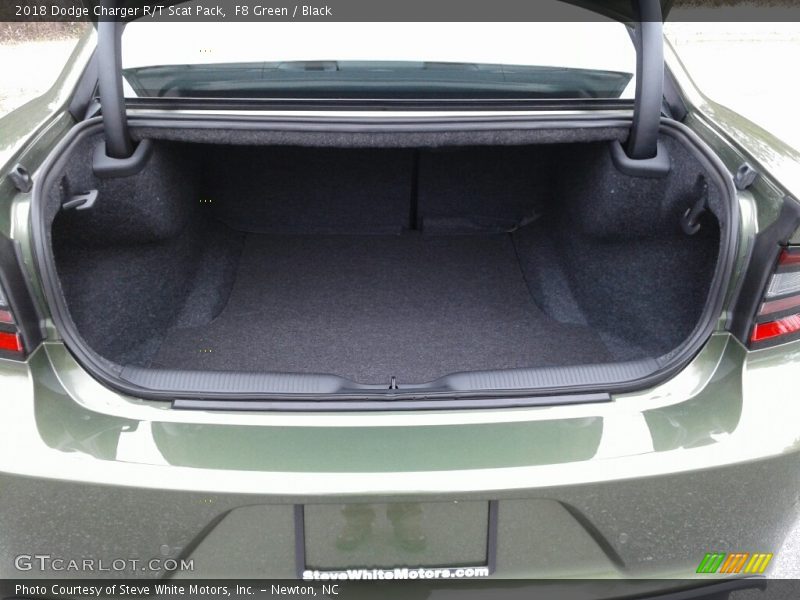 F8 Green / Black 2018 Dodge Charger R/T Scat Pack