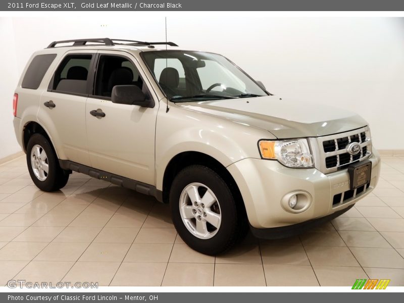 Gold Leaf Metallic / Charcoal Black 2011 Ford Escape XLT