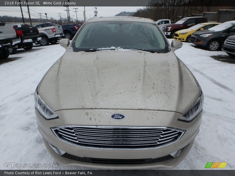 White Gold / Ebony 2018 Ford Fusion SE