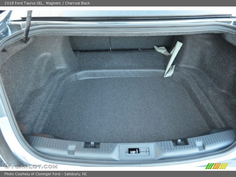 Magnetic / Charcoal Black 2018 Ford Taurus SEL