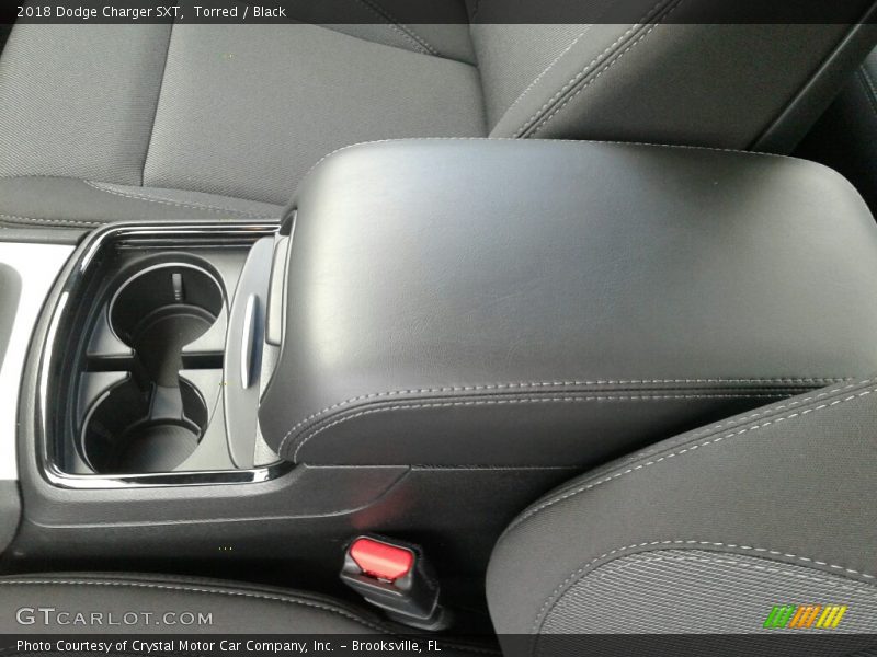 Torred / Black 2018 Dodge Charger SXT