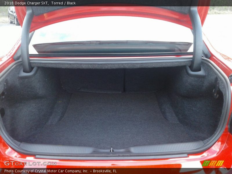 Torred / Black 2018 Dodge Charger SXT