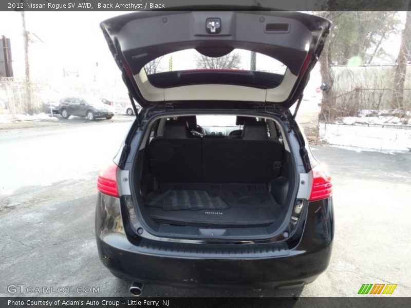 Black Amethyst / Black 2012 Nissan Rogue SV AWD