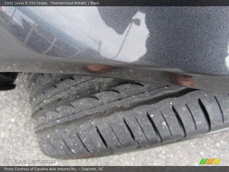 Thundercloud Metallic / Black 2003 Lexus IS 300 Sedan