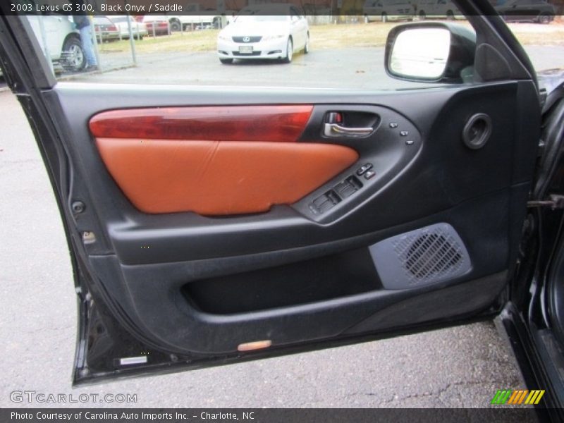 Black Onyx / Saddle 2003 Lexus GS 300