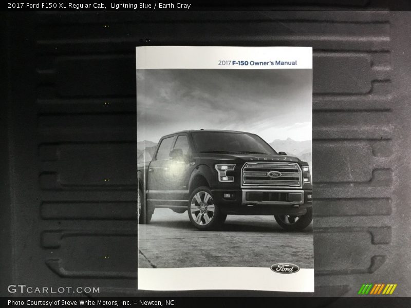 Lightning Blue / Earth Gray 2017 Ford F150 XL Regular Cab