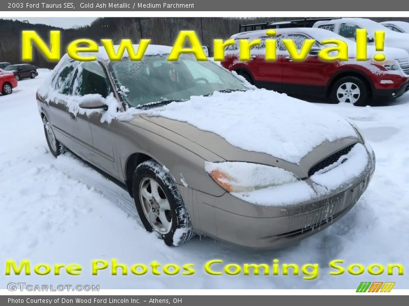 Gold Ash Metallic / Medium Parchment 2003 Ford Taurus SES