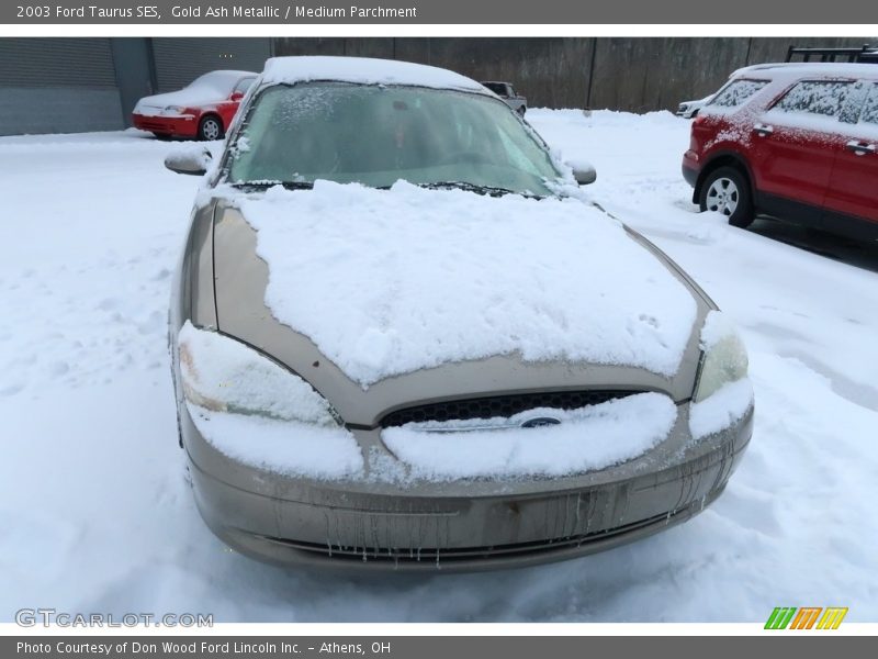 Gold Ash Metallic / Medium Parchment 2003 Ford Taurus SES