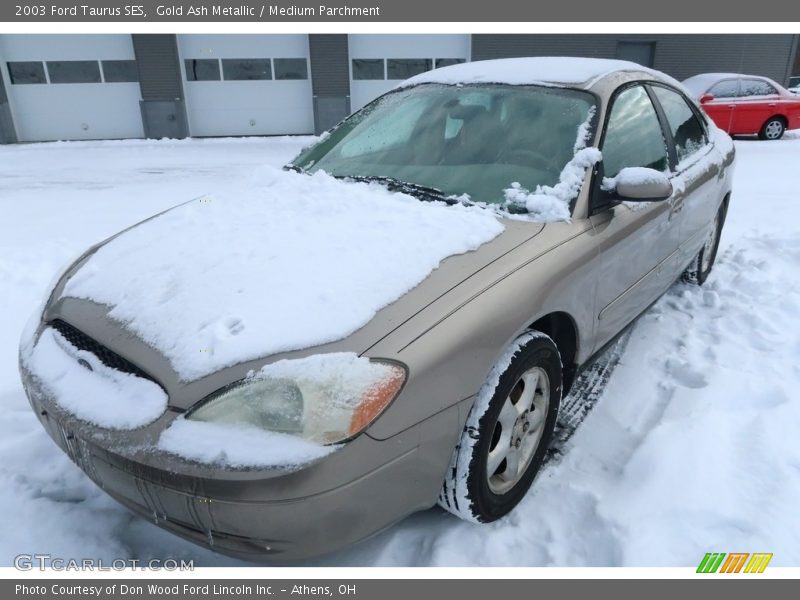 Gold Ash Metallic / Medium Parchment 2003 Ford Taurus SES