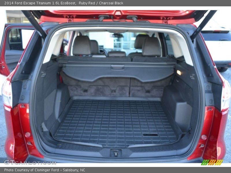 Ruby Red / Charcoal Black 2014 Ford Escape Titanium 1.6L EcoBoost