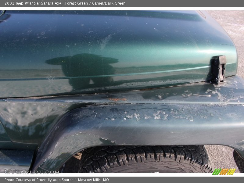 Forest Green / Camel/Dark Green 2001 Jeep Wrangler Sahara 4x4