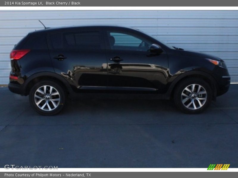 Black Cherry / Black 2014 Kia Sportage LX