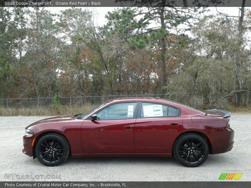 Octane Red Pearl / Black 2018 Dodge Charger SXT